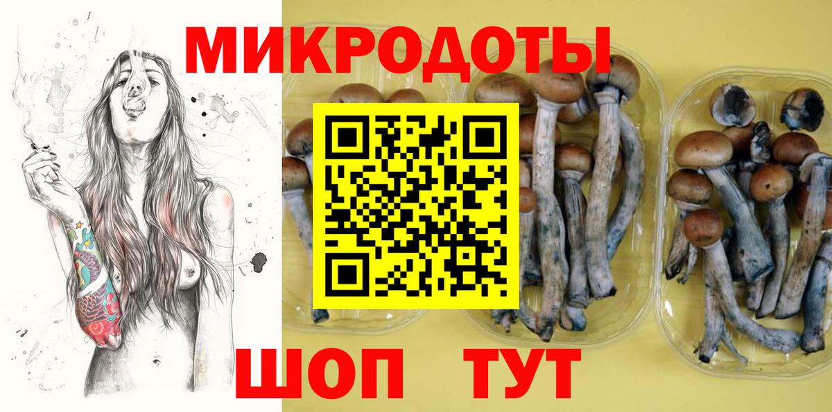 Псилоцибиновые грибы Cubensis  Вход с VPN  Ялта  Псилоцибиновые грибы Psilocybe 